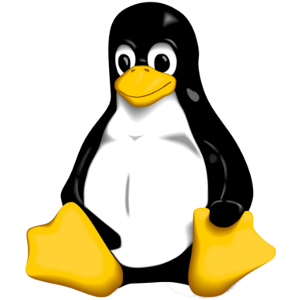 Linux Servers Management